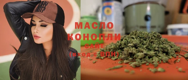 дмт Алексин