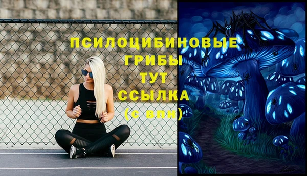МДПВ Алзамай