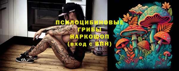 дмт Алексин