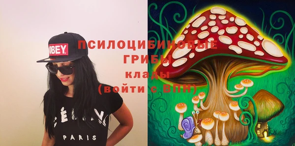 МДПВ Алзамай